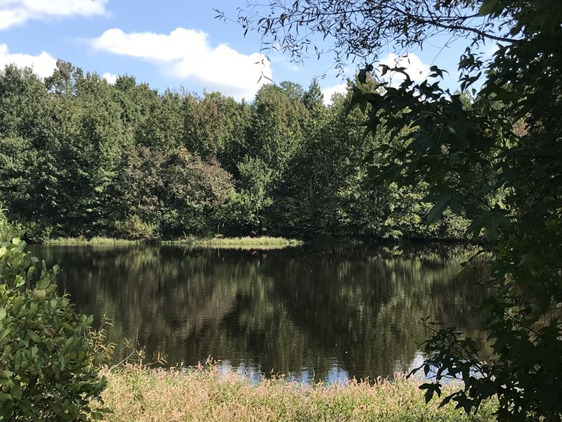 County Drive Farmhouse Pond Acreage : Disputanta : Prince George County : Virginia
