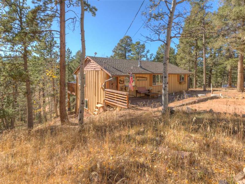Rainbow Valley Cabin : Divide : Teller County : Colorado