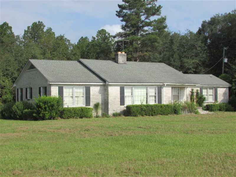 136 Acres of Timberland with Poten : Quitman : Brooks County : Georgia