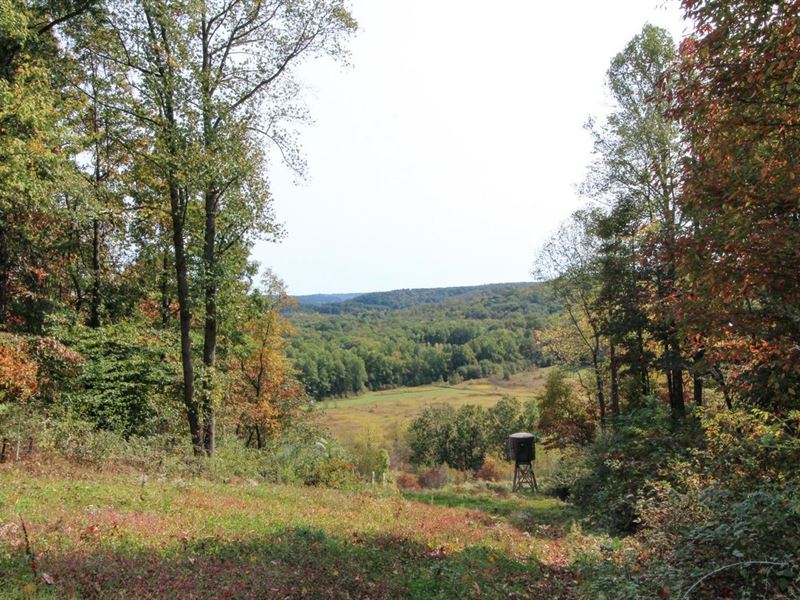 Plum Rd, 52 Acres, Harrison Count : Uhrichsville : Harrison County : Ohio