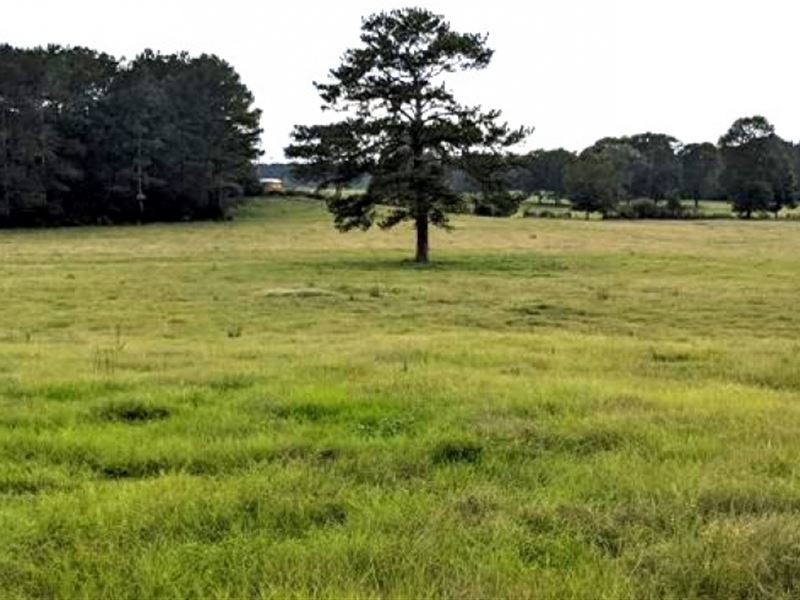 22 Acres in Pike County in McComb : McComb : Pike County : Mississippi