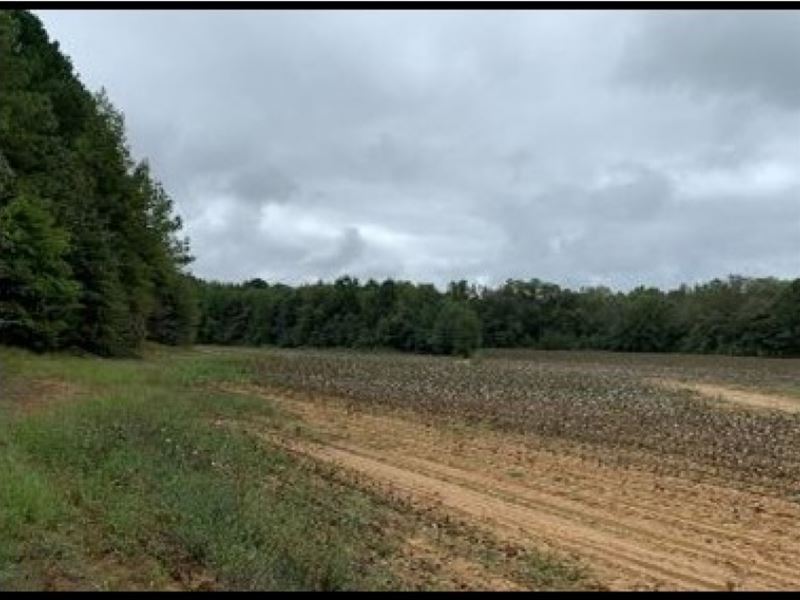 165 Acres in Webster County in Eupo : Eupora : Webster County : Mississippi