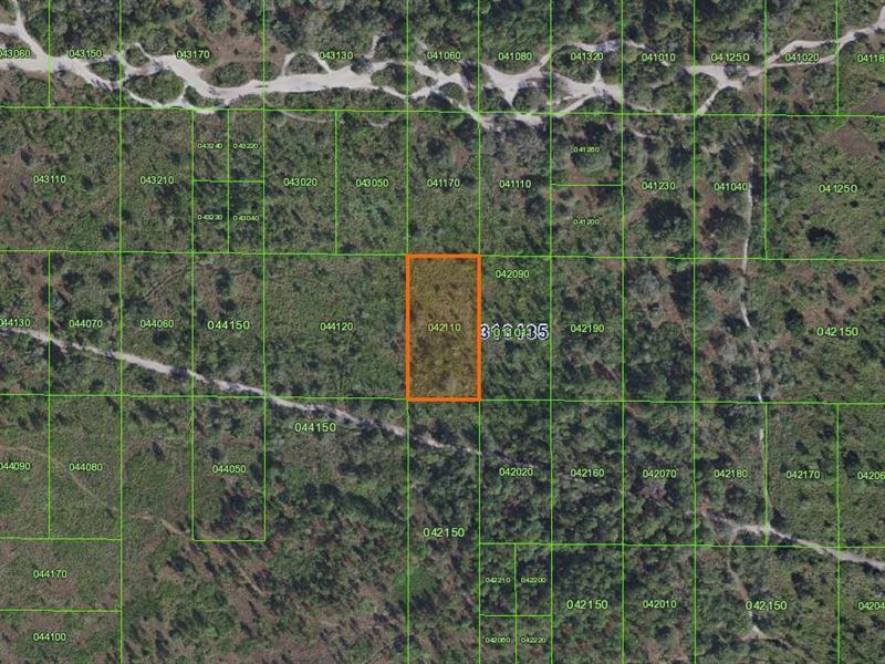 Inaccessibile Tract, River Ranch : Frostproof : Polk County : Florida