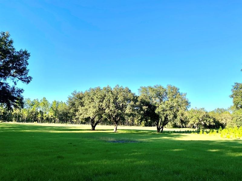 5 Acre Estabished Homesite High : High Springs : Gilchrist County : Florida