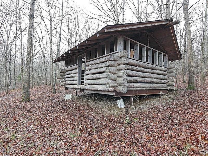 Missouri Ozarks Hunting Property : Arcadia : Madison County : Missouri