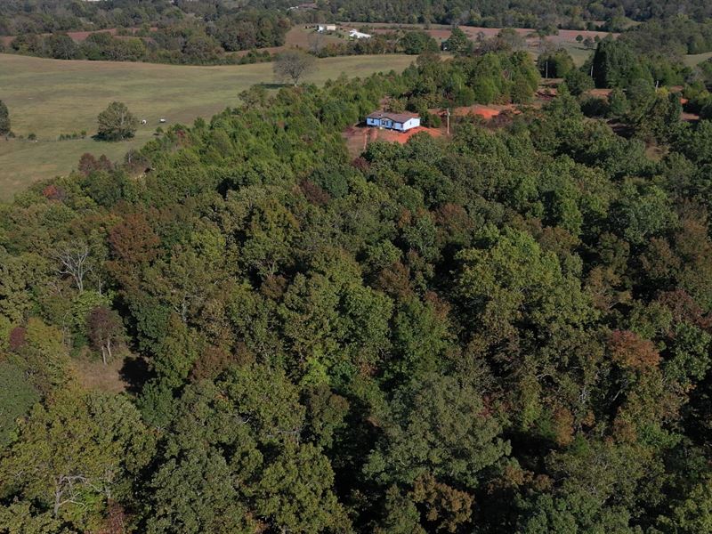 Private Setting Gorgeous Views : Koshkonong : Oregon County : Missouri