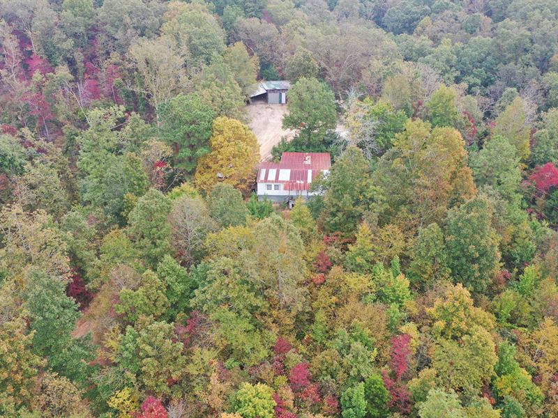 6 Acres with Septic, Electric Well : Lobelville : Perry County : Tennessee