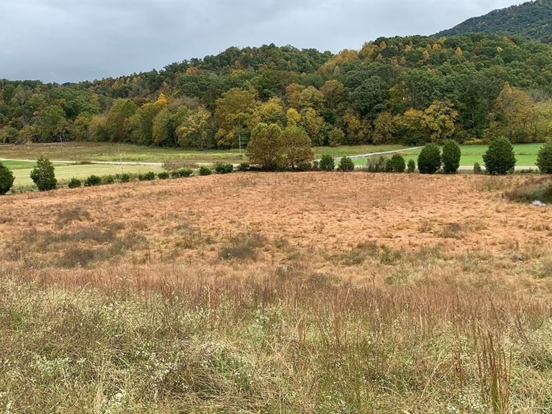 East Tennessee Mini Farm Hawkins : Rogersville : Hawkins County : Tennessee