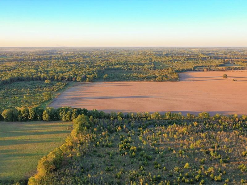 Farm & Ranch Land Clarksville Texas : Clarksville : Red River County : Texas
