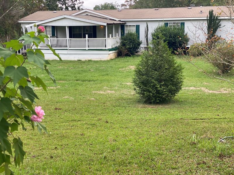 38 Acres Quail Tower Road with Home : Luverne : Crenshaw County : Alabama