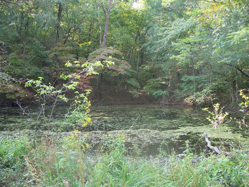 Hunting Acreage, Food Plots : Eucha : Delaware County : Oklahoma