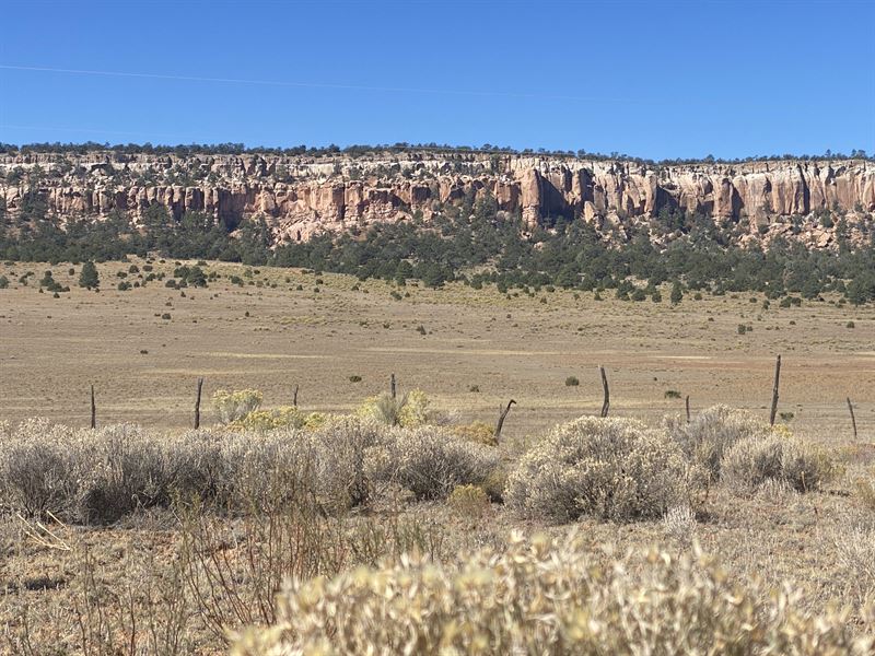 Invest in This Secluded 4.99 Acres : Grants : Cibola County : New Mexico