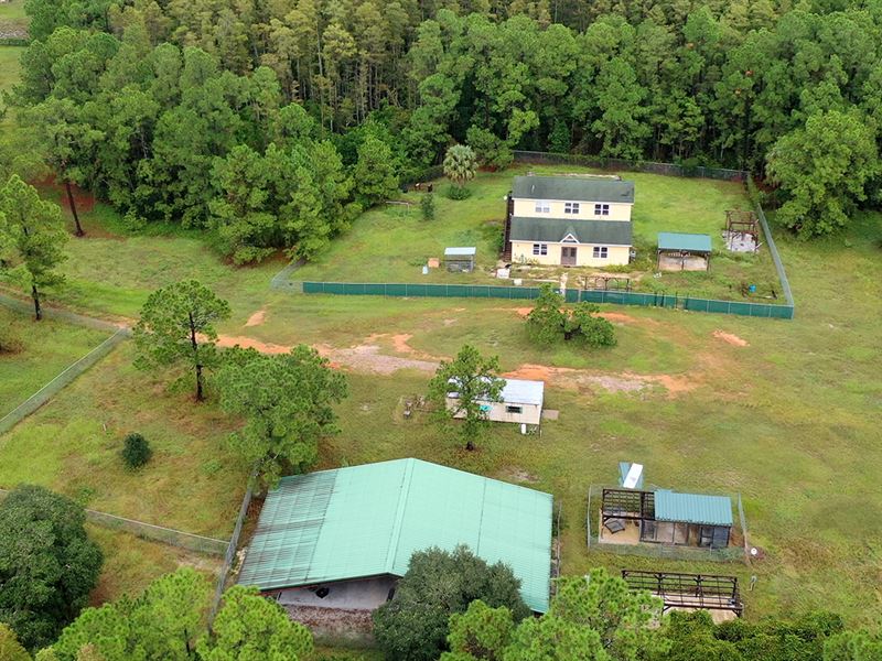Black Road Acreage : Lake Wales : Polk County : Florida