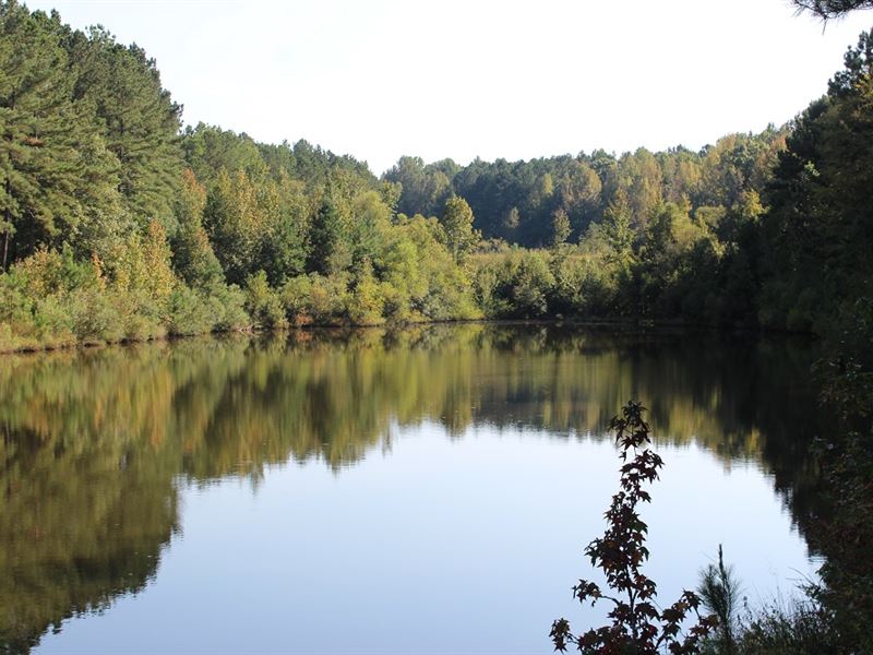 Beautiful Timber and Land : Monticello : Jasper County : Georgia