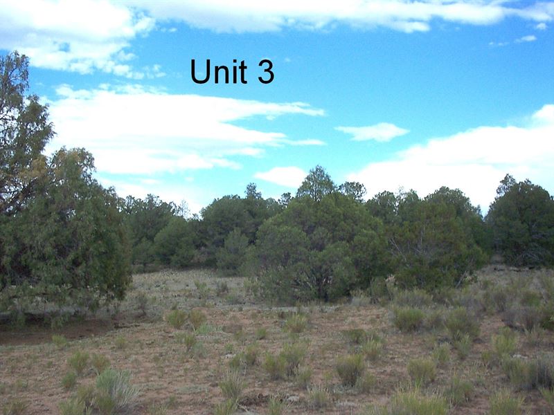 Safer Acres in Beautiful New Mexico : Grants : Cibola County : New Mexico