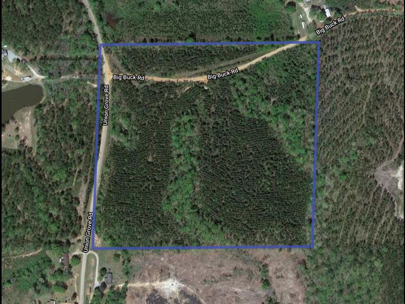 Union Grove Road Tract : Sweet Water : Marengo County : Alabama