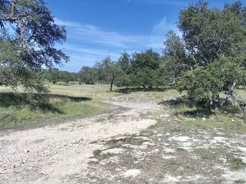 Antelope Draw 4, Electric : Menard : Menard County : Texas