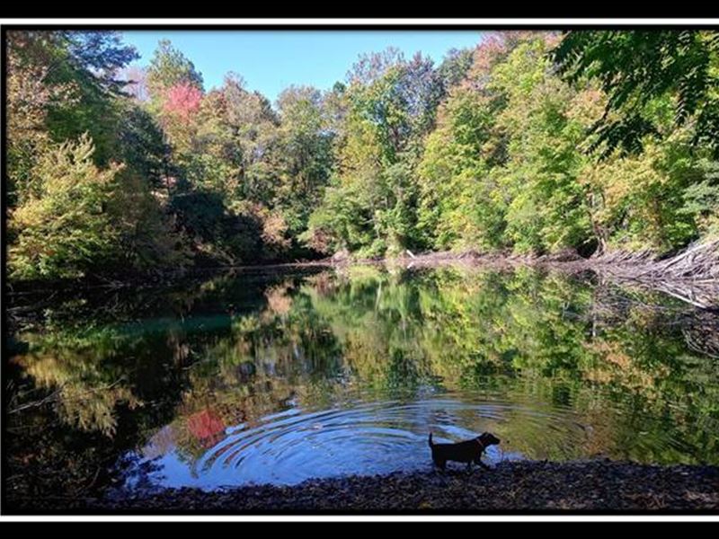 Tract 13, Longhenry Ponds : Junction City : Perry County : Ohio