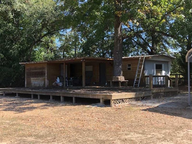147 Acres with Camp on Hwy 25 : Carthage : Leake County : Mississippi
