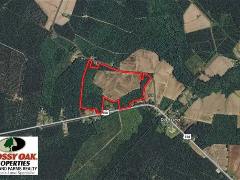 80 Acres of Farm and Hunting Land : Eure : Gates County : North Carolina