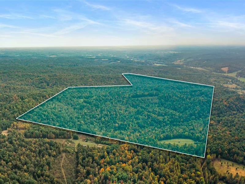 175 Acres in Dickson County, Hunt : Dickson : Dickson County : Tennessee