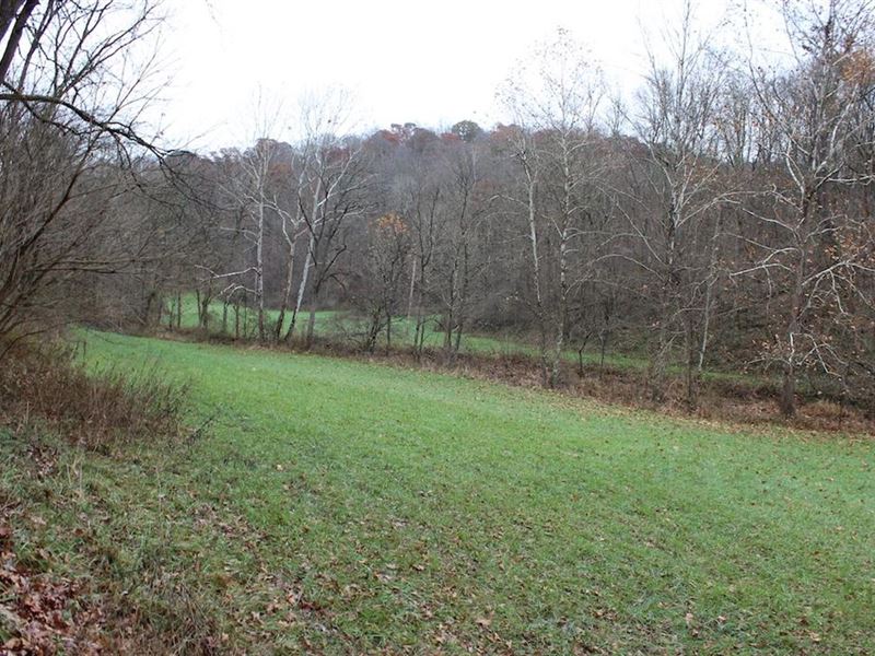 Old Camp Rd, 48 Acres : New Matamoras : Washington County : Ohio