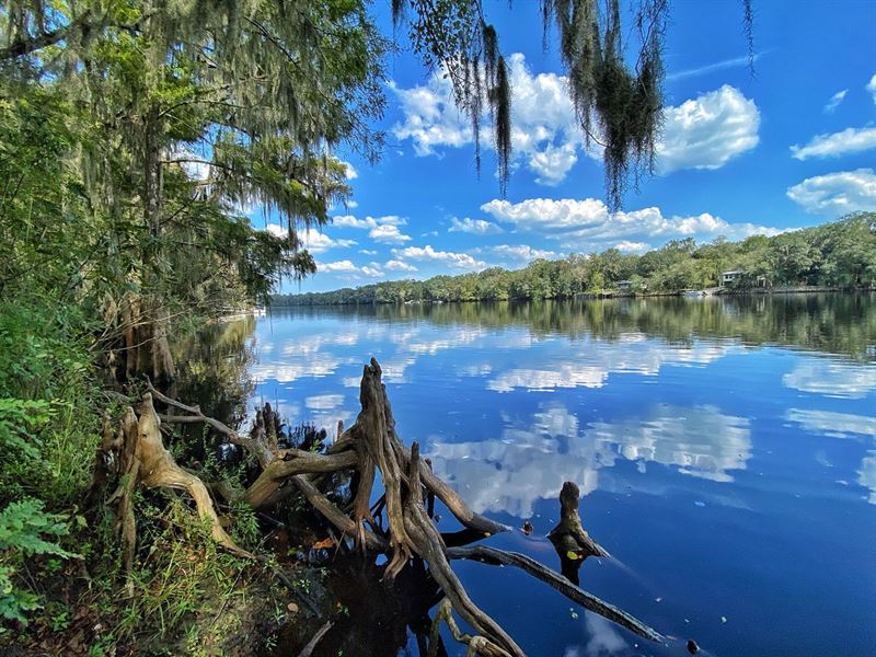 Beautiful Suwannee River Lot : Old Town : Dixie County : Florida
