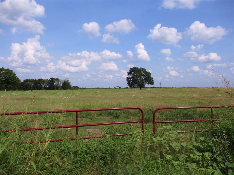 Location, Location, Location : Bonham : Fannin County : Texas
