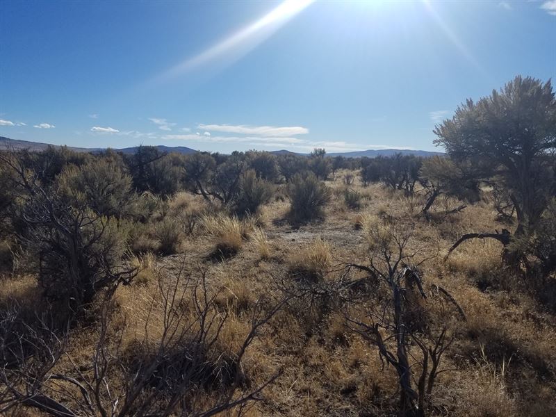 160 Acres in Ravendale, California Land for Sale in Ravendale, Lassen