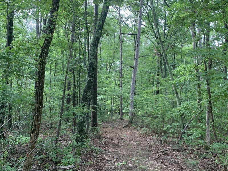 Close to Huntsville & Scottsboro : Woodville : Jackson County : Alabama