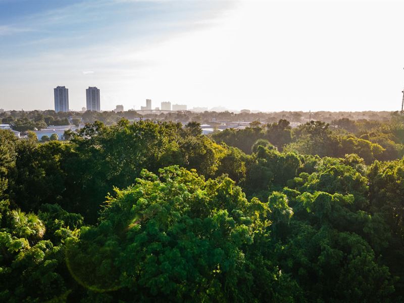 Development Opportunity, Plans Incl : Daytona Beach : Volusia County : Florida