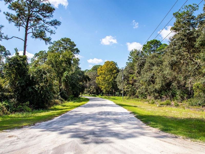 Owner Finance Discount Cash 1.45 Ac : Georgetown : Putnam County : Florida