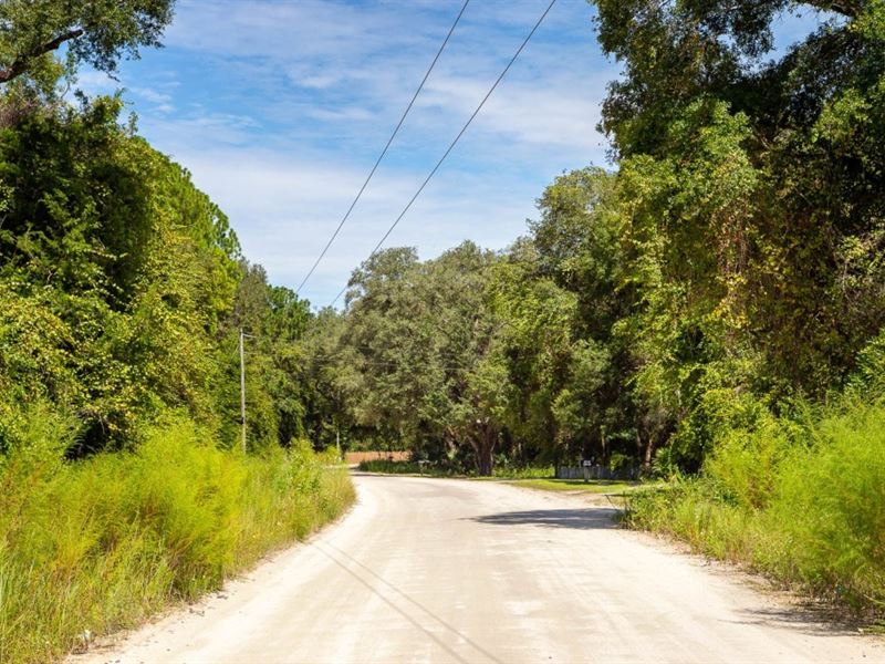 Owner Finance, Mobile Okay, 9.6 Ac : Old Town : Dixie County : Florida