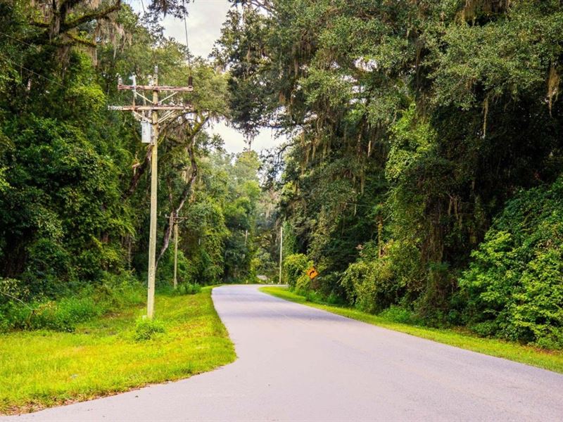Owner Fin, Mobile Ok, Paved, 2 Ac : Old Town : Dixie County : Florida