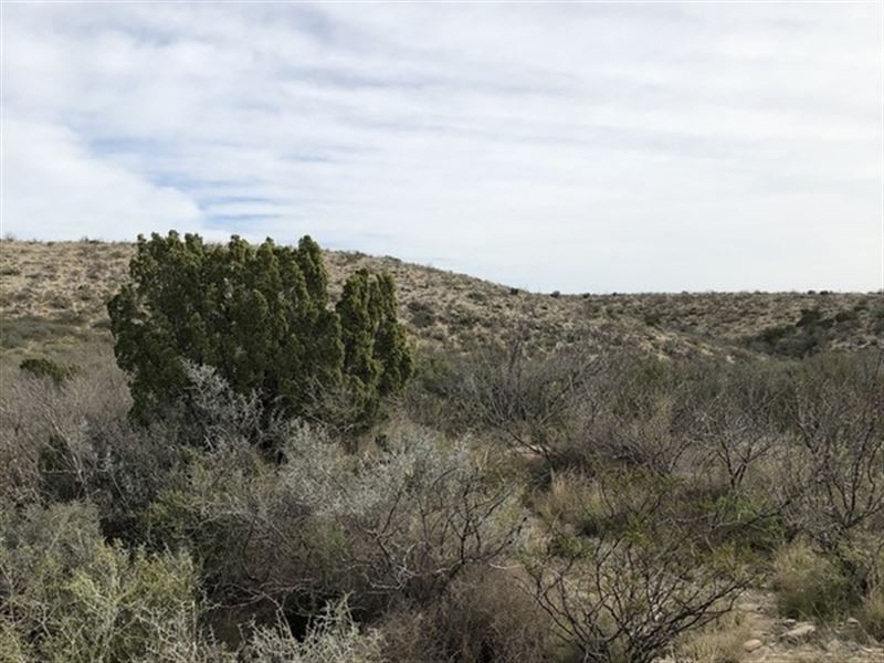 Langtry West 47 : Langtry : Val Verde County : Texas