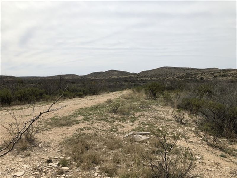 Langtry West 51 with Well : Langtry : Val Verde County : Texas