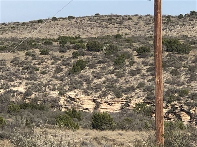 Langtry West 52 Elect/Shared Well : Langtry : Val Verde County : Texas