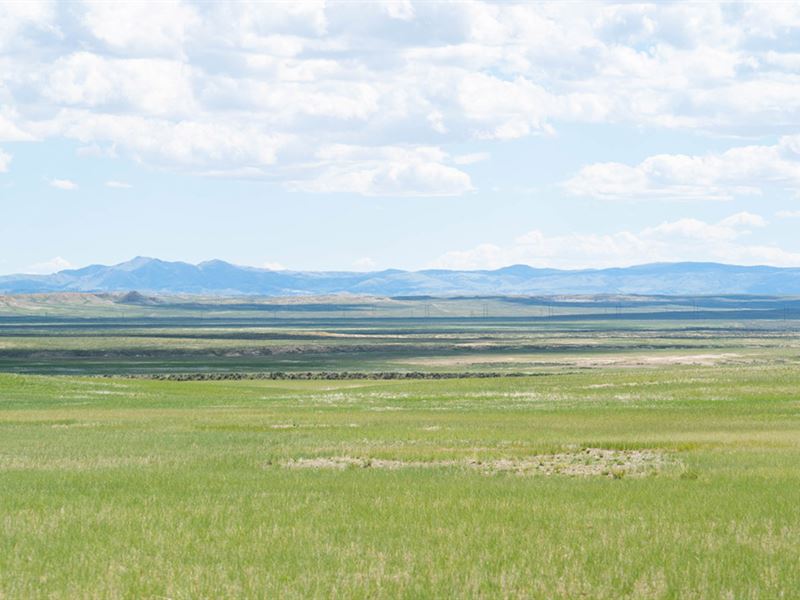 Barlean Ranch : Waltman : Natrona County : Wyoming
