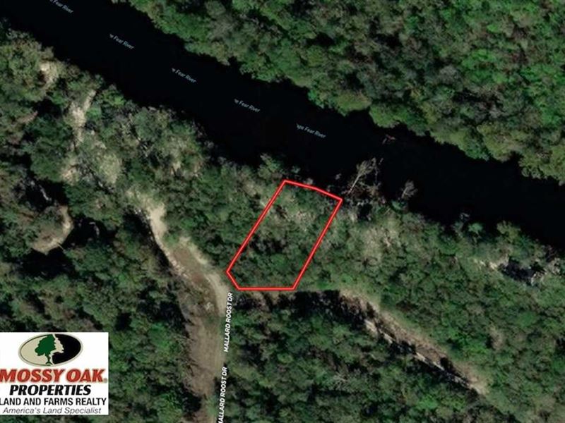 .47 Acres of Wat : Burgaw : Pender County : North Carolina