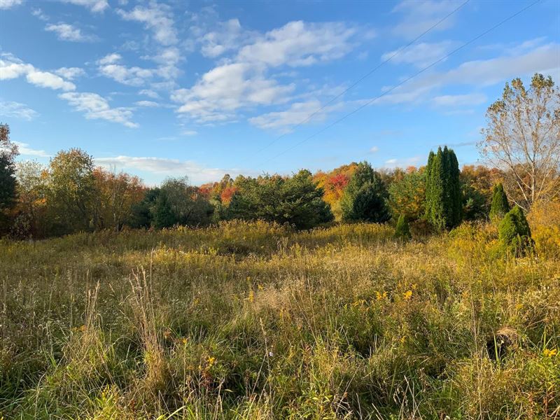 Hopewell Rd, 11 Acres, Guernsey : Cambridge : Guernsey County : Ohio