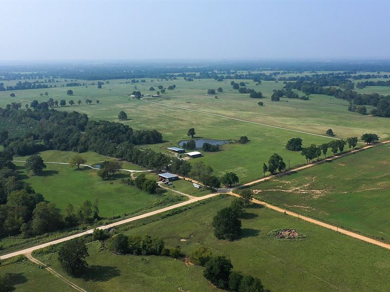 Large Cattle Ranch Oklahoma : Hugo : Choctaw County : Oklahoma