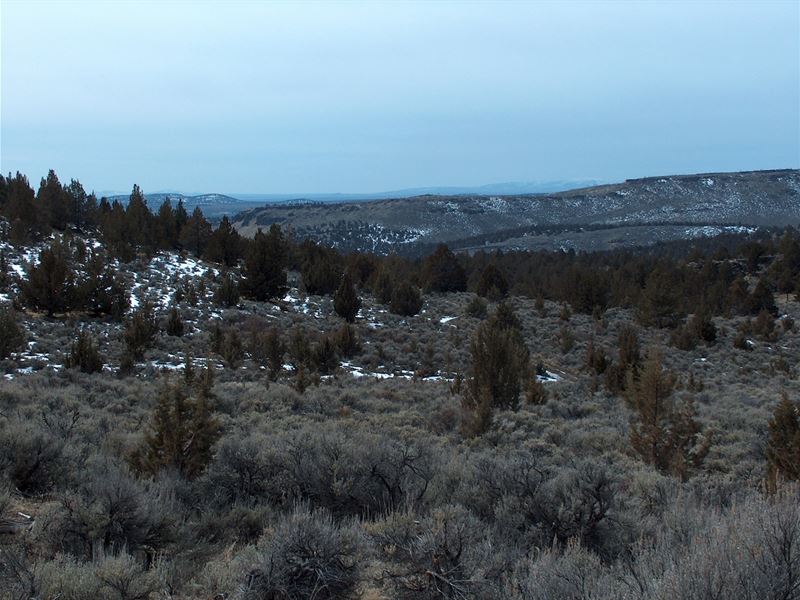 Great Getaway Acreage To Build Your : Burns : Harney County : Oregon