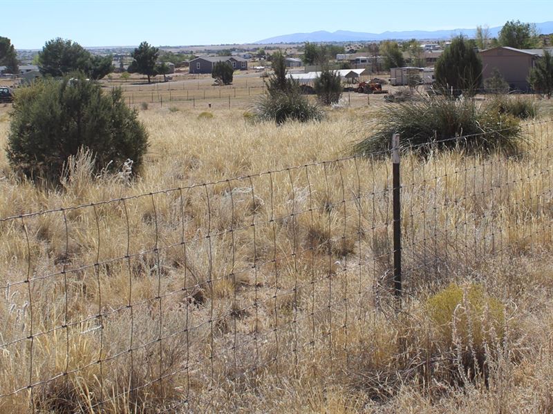 Land Septic, Well, Fenced Chino Land for Sale in Chino Valley