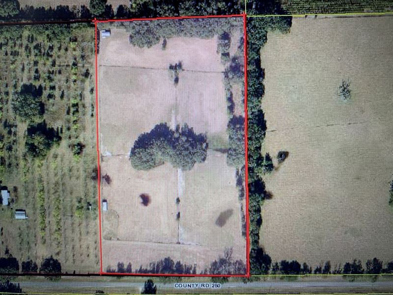 Acreage For Sale in North Florida Land for Sale in Live Oak, Suwannee