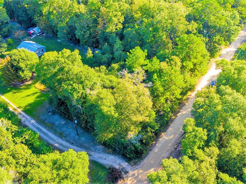 .29 Acres Unrestricted 900 Down : Livingston : Polk County : Texas