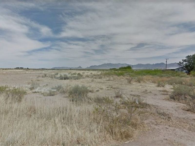 Half Acre Lot in Luna : Deming : Luna County : New Mexico