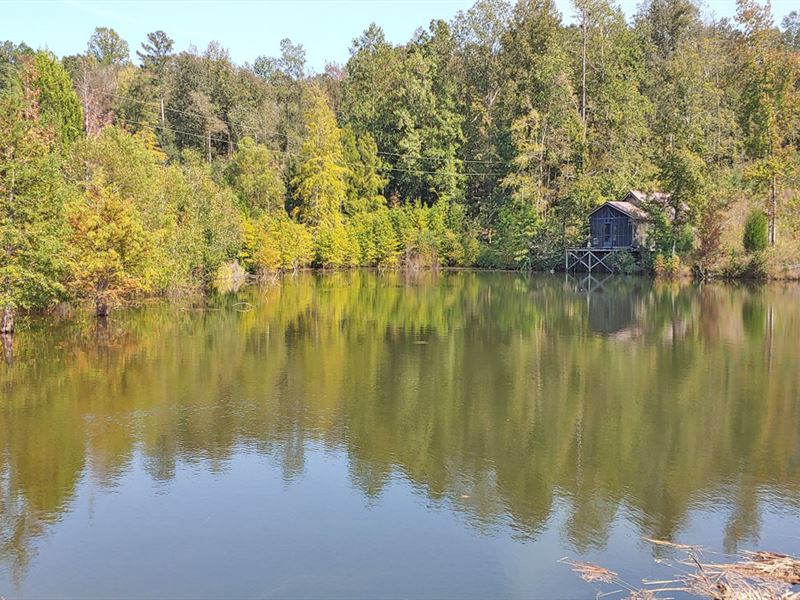 Ten Ring Plantation : Goshen : Pike County : Alabama