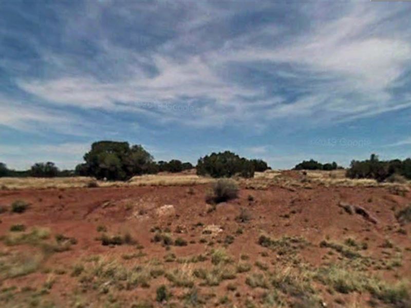1 Acre for Only $1349 : Concho : Apache County : Arizona