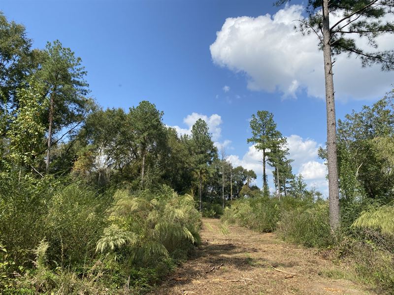 Small Tract Surrounded by Farmland : Dawson : Terrell County : Georgia