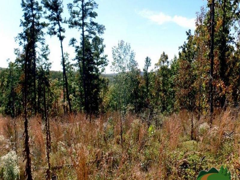 Check Out These Beautiful Views : Van Buren : Carter County : Missouri